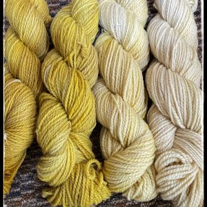 mini skein set in yellows