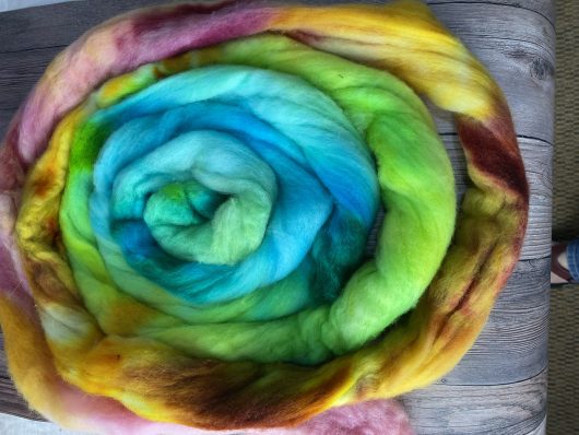 swirl of gradient dyed roving