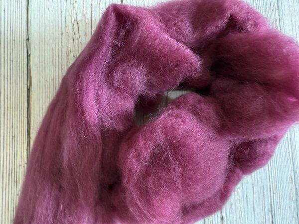 Blue Faced Leicester Combed Top (BFL) - Image 5