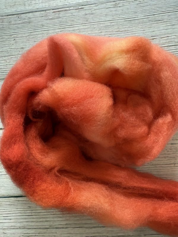 Blue Faced Leicester Combed Top (BFL) - Image 3